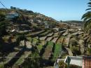View from Bus, La Gomera